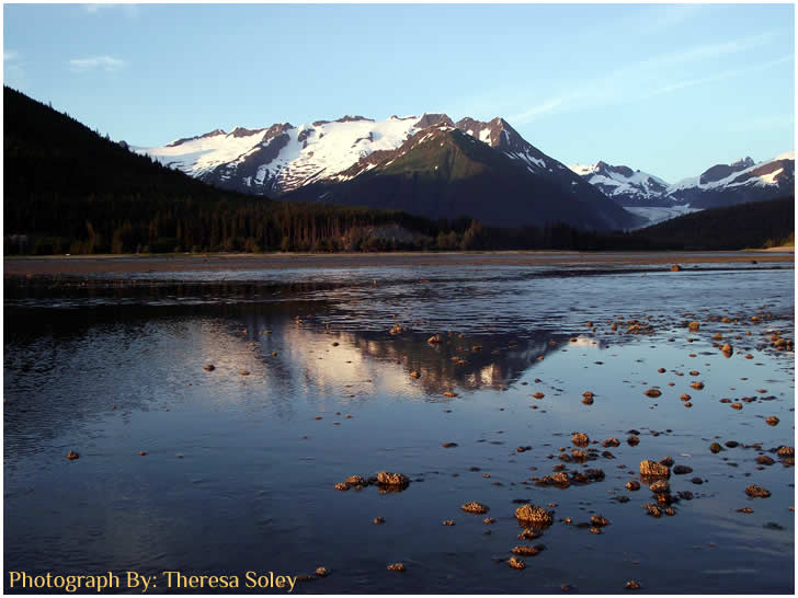 Photograph By: Theresa Soley of Juneau Alaska.