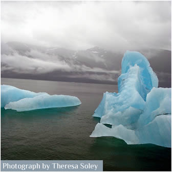 Photo of glacial iceberg floating in Tracy Arm near Juneau Alaska.
