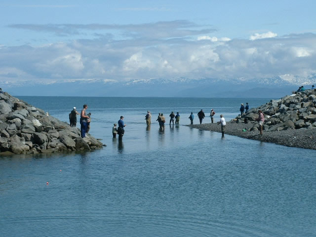 Fishing in Homer Alaska